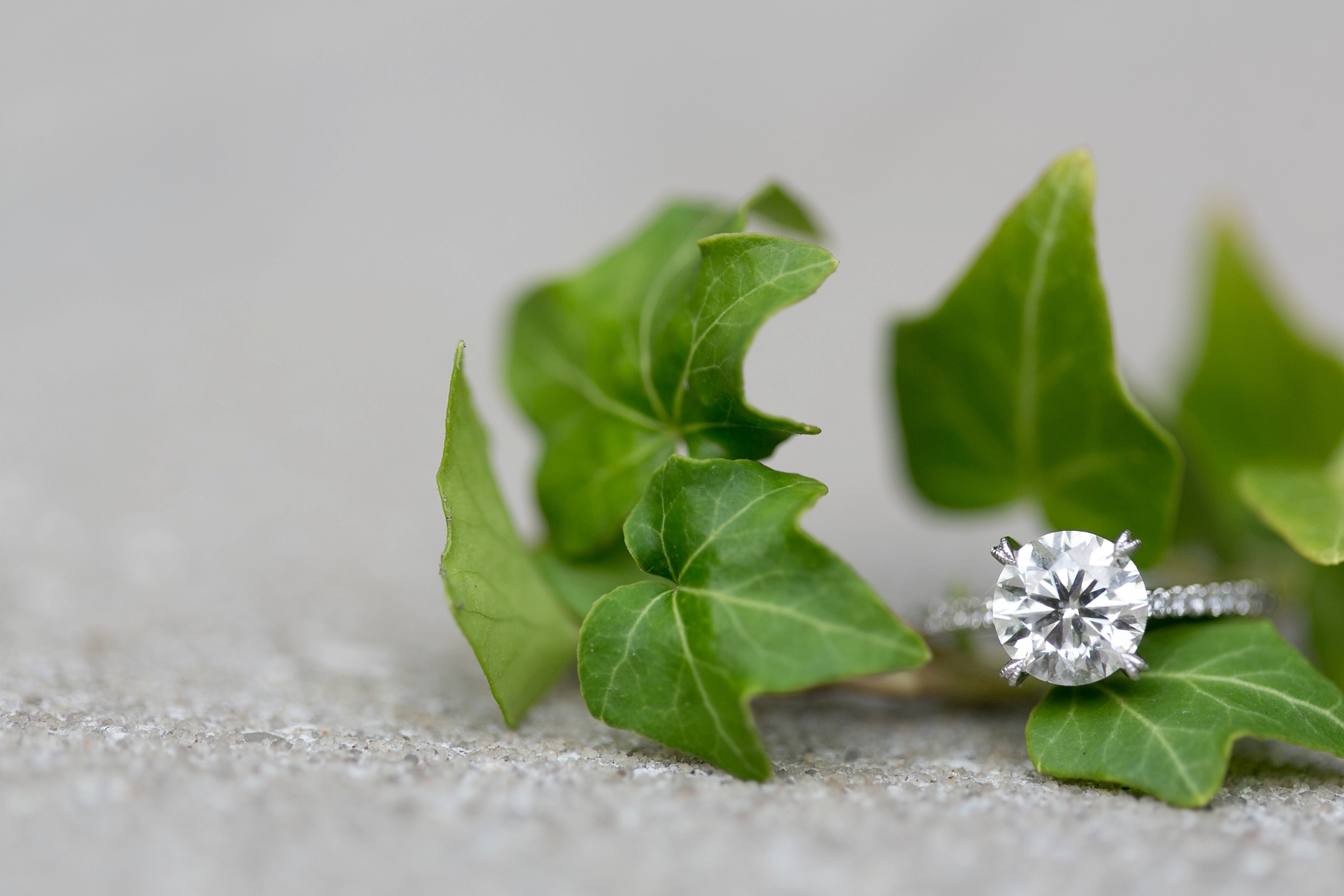 Beautiful ring shot by Elle Danielle Photography
