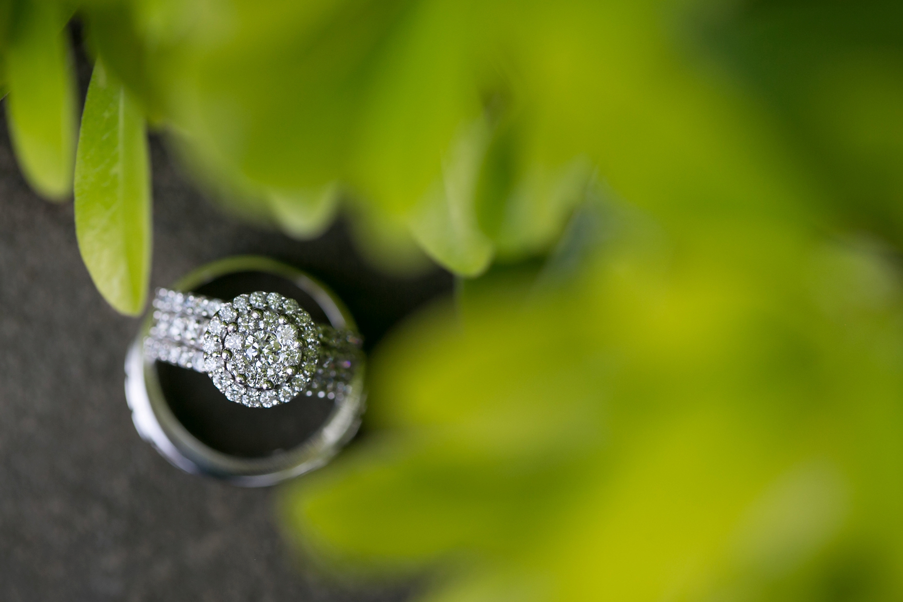 Creative ring composition by Elle Danielle Photography
