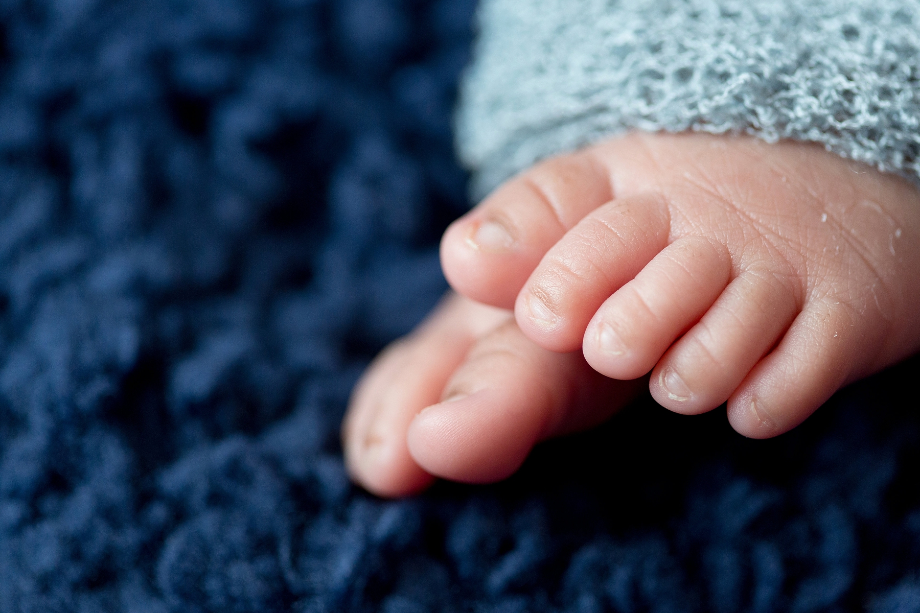 Newborn toes by Elle Danielle Photography