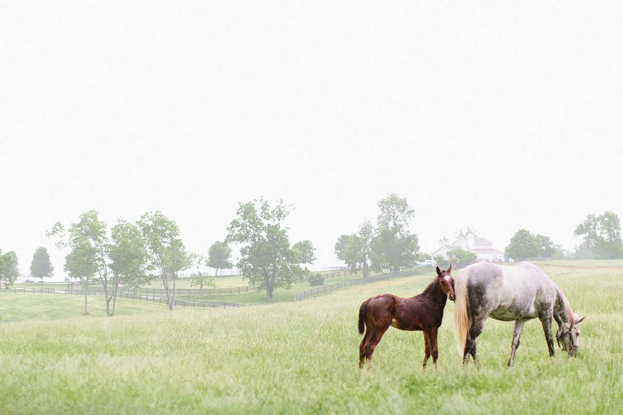 Kentucky Horse Farm Wedding